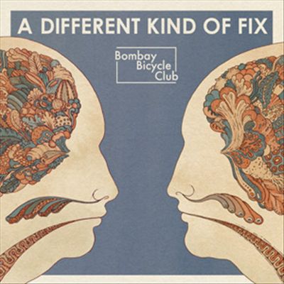 Different Kind of Fix cover art