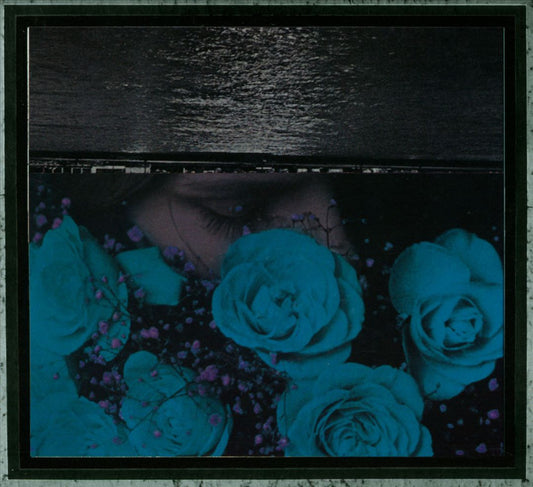 At the Down-Turned Jagged Rim of the Sky cover art