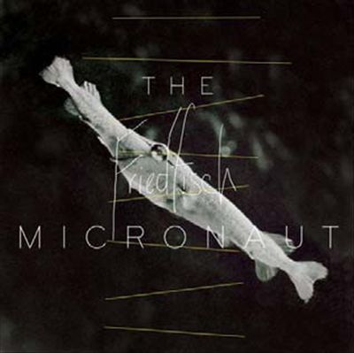 Friedfisch cover art