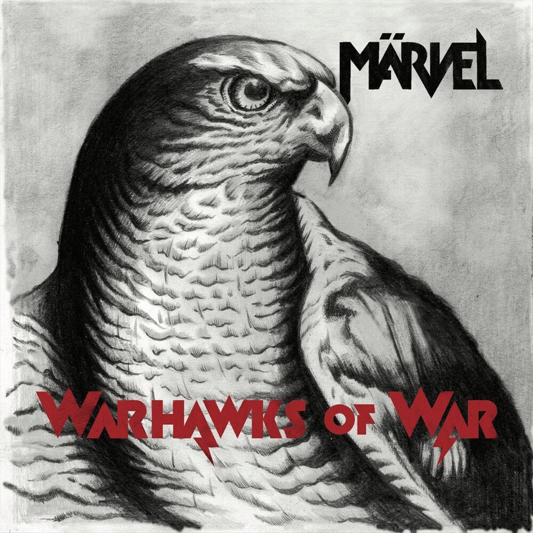 Warhawks of War cover art