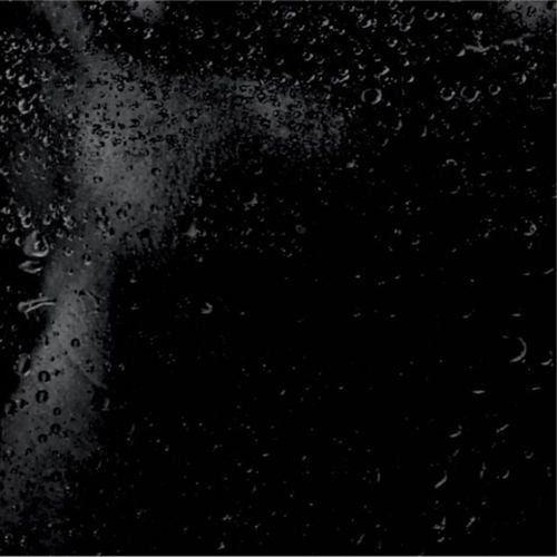 Trunkated cover art