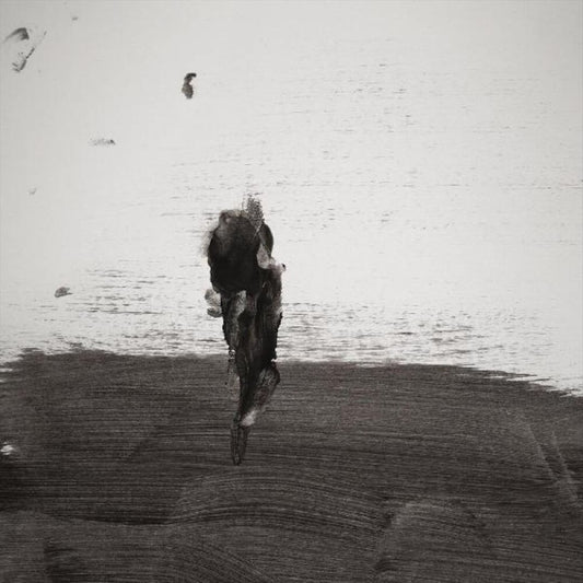 Northern: Ashroud Is My Countr cover art