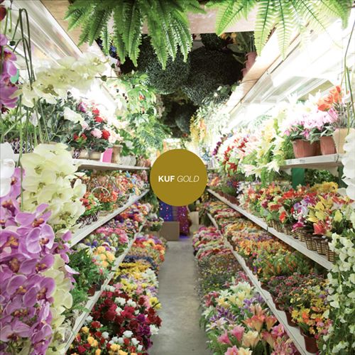 Gold cover art