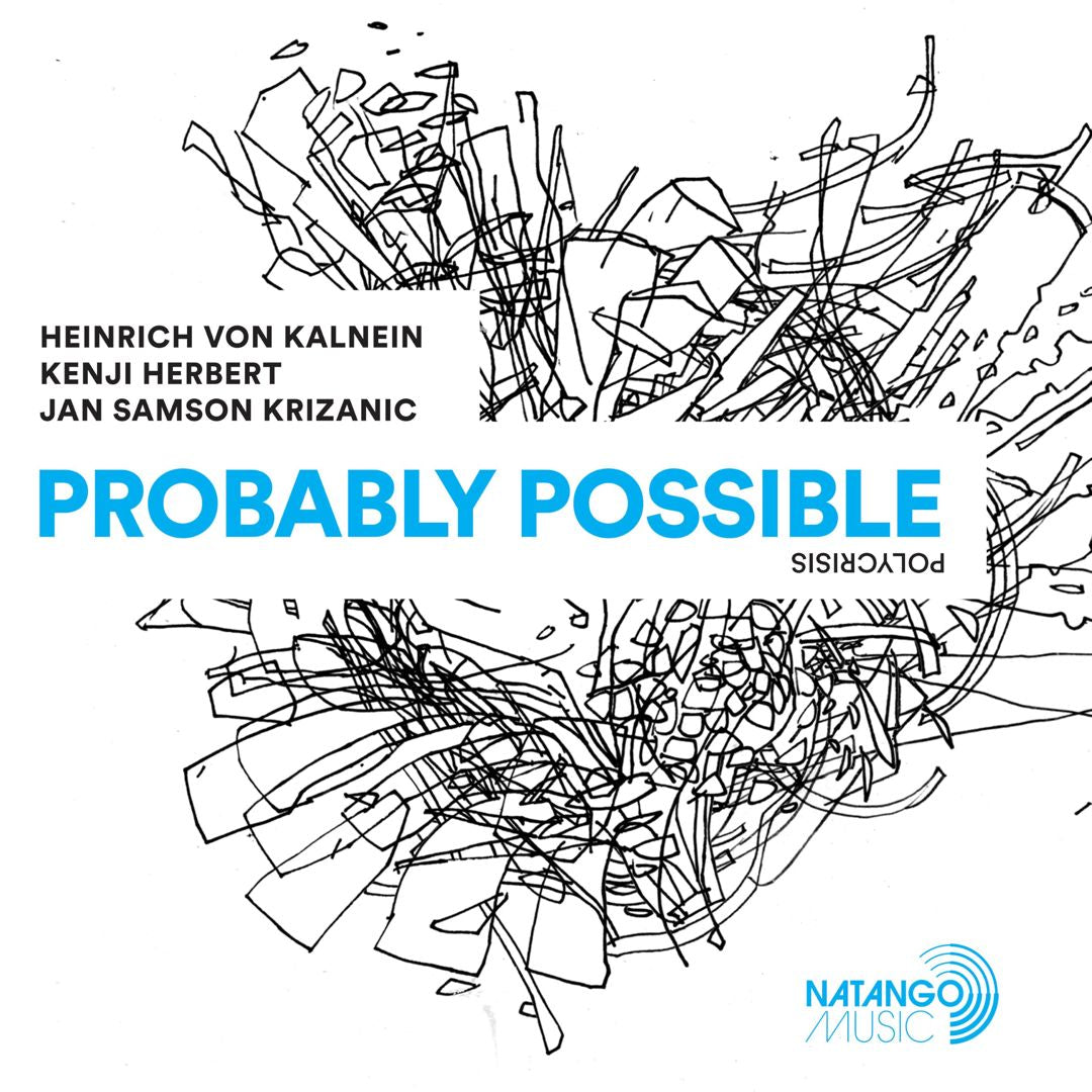 Heinrich von Kalnein - Probably Possible [LP] cover art