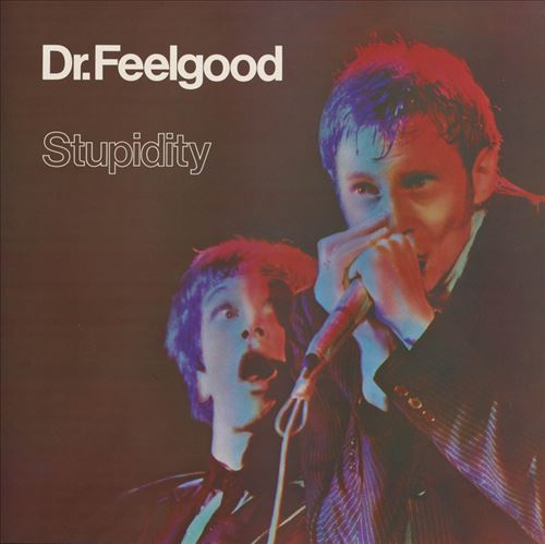 Stupidity cover art