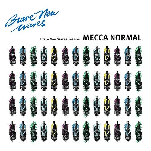 Brave New Waves Session cover art