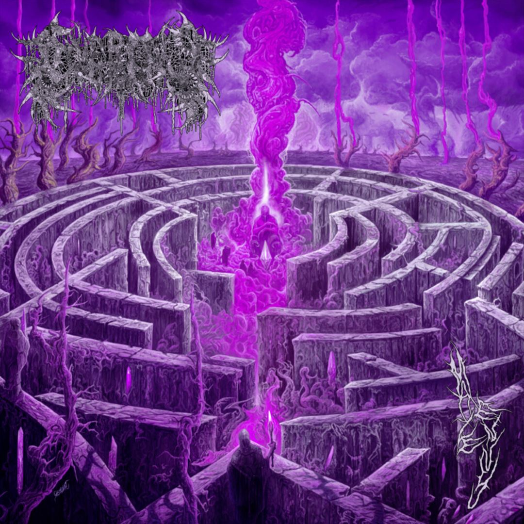 Maze Envy [Purple & Magenta Merge Vinyl] cover art
