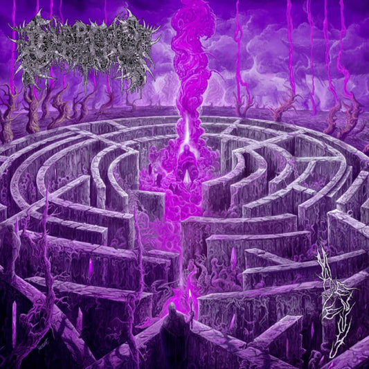 Maze Envy [Purple & Magenta Merge Vinyl] cover art