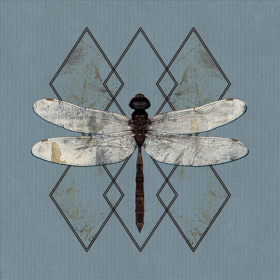 Close cover art