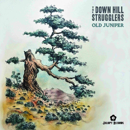 Old Juniper cover art