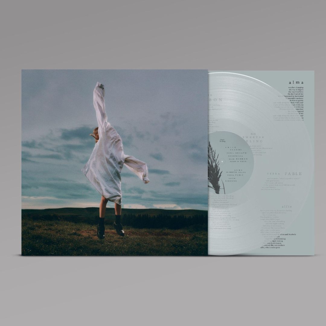 Birding [Transparent Pale Blue Vinyl] cover art