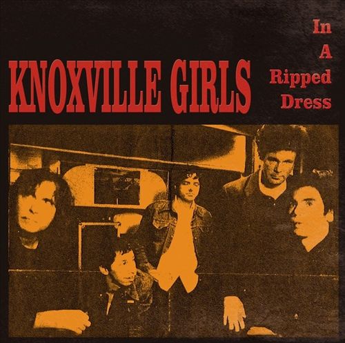 In a Ripped Dress cover art