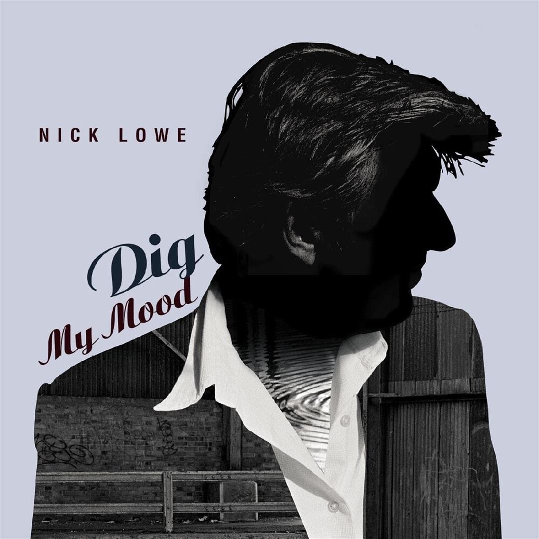 Dig My Mood cover art