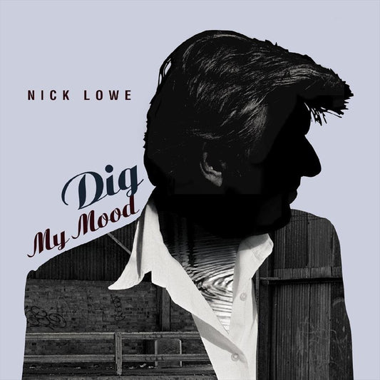 Dig My Mood cover art