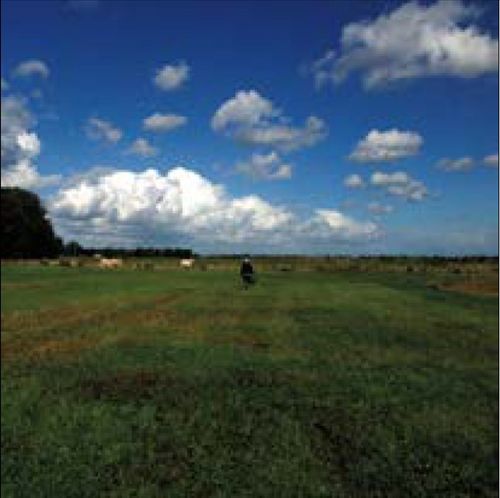 Hilvarenbeek Recordings cover art