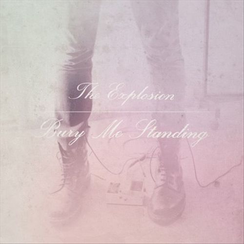 Bury Me Standing cover art