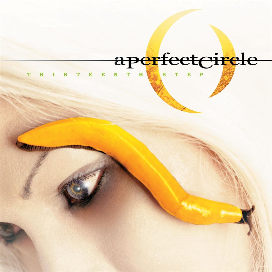 Thirteenth Step cover art