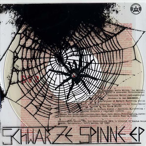 Schwarze Spinne cover art