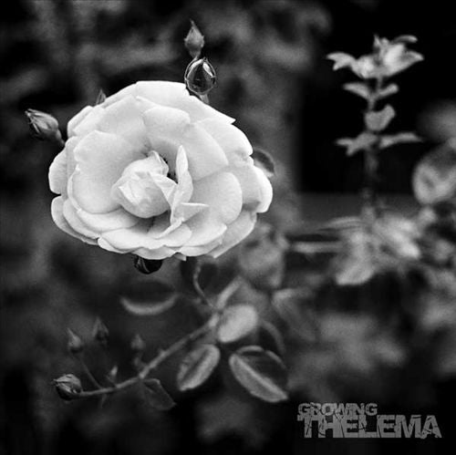 Growing [180g Vinyl] cover art