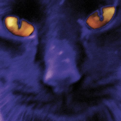 Bobbie's a Girl cover art