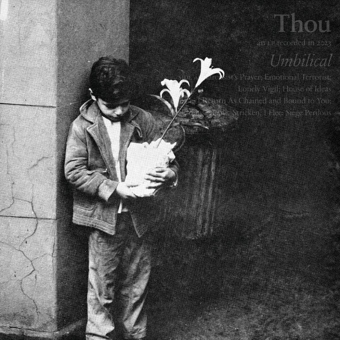 Umbilical cover art
