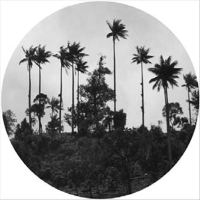 Mil Anos cover art