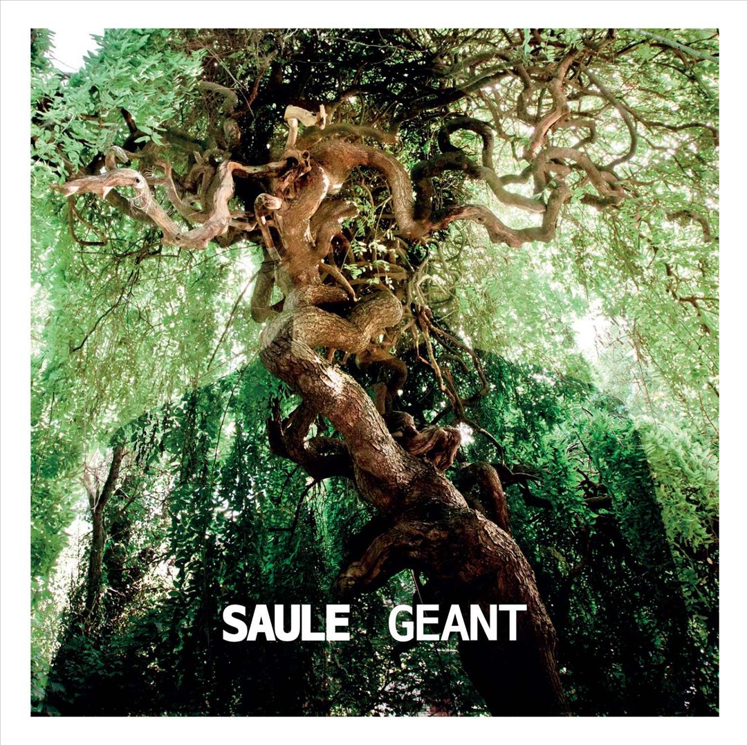 Géant cover art