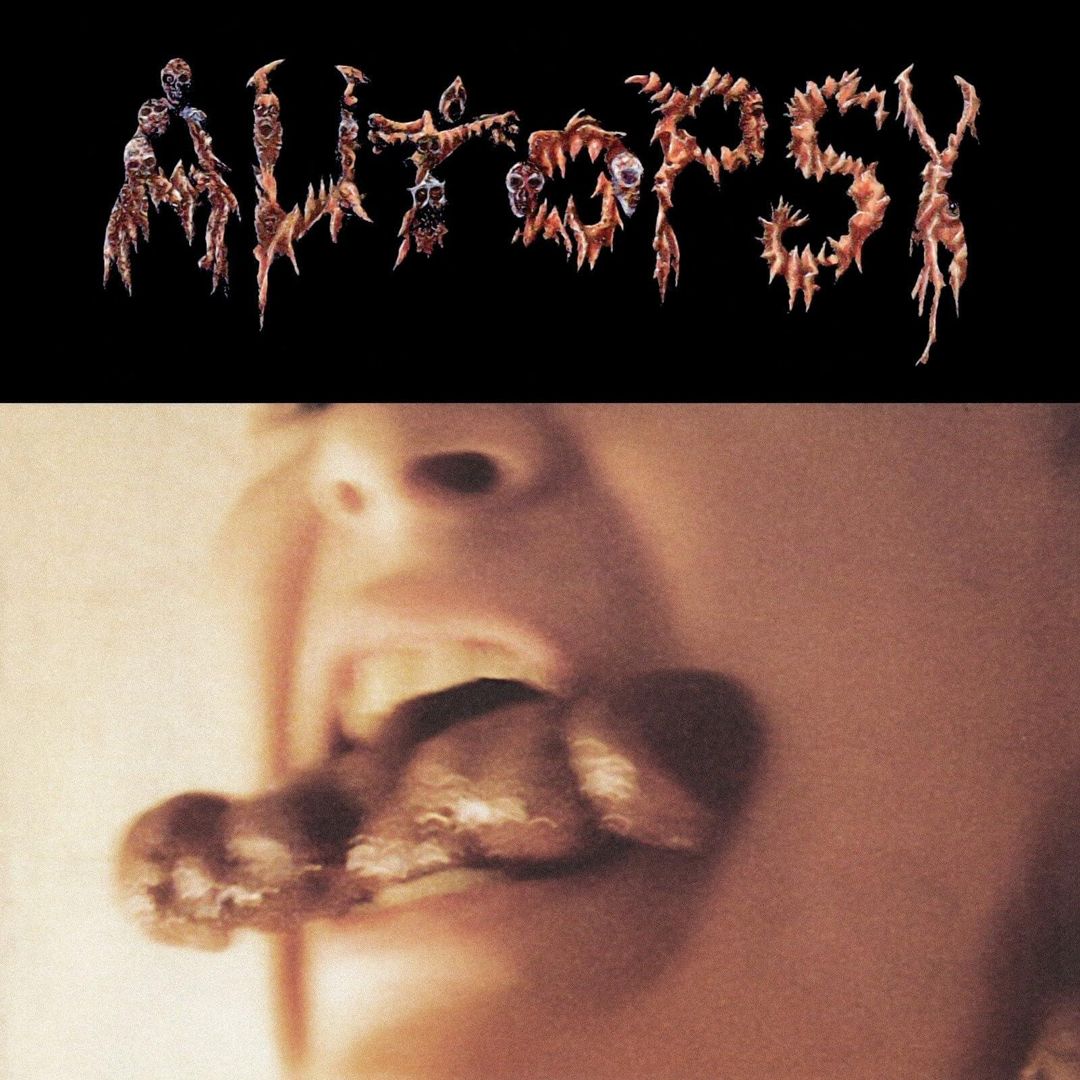 Shitfun cover art
