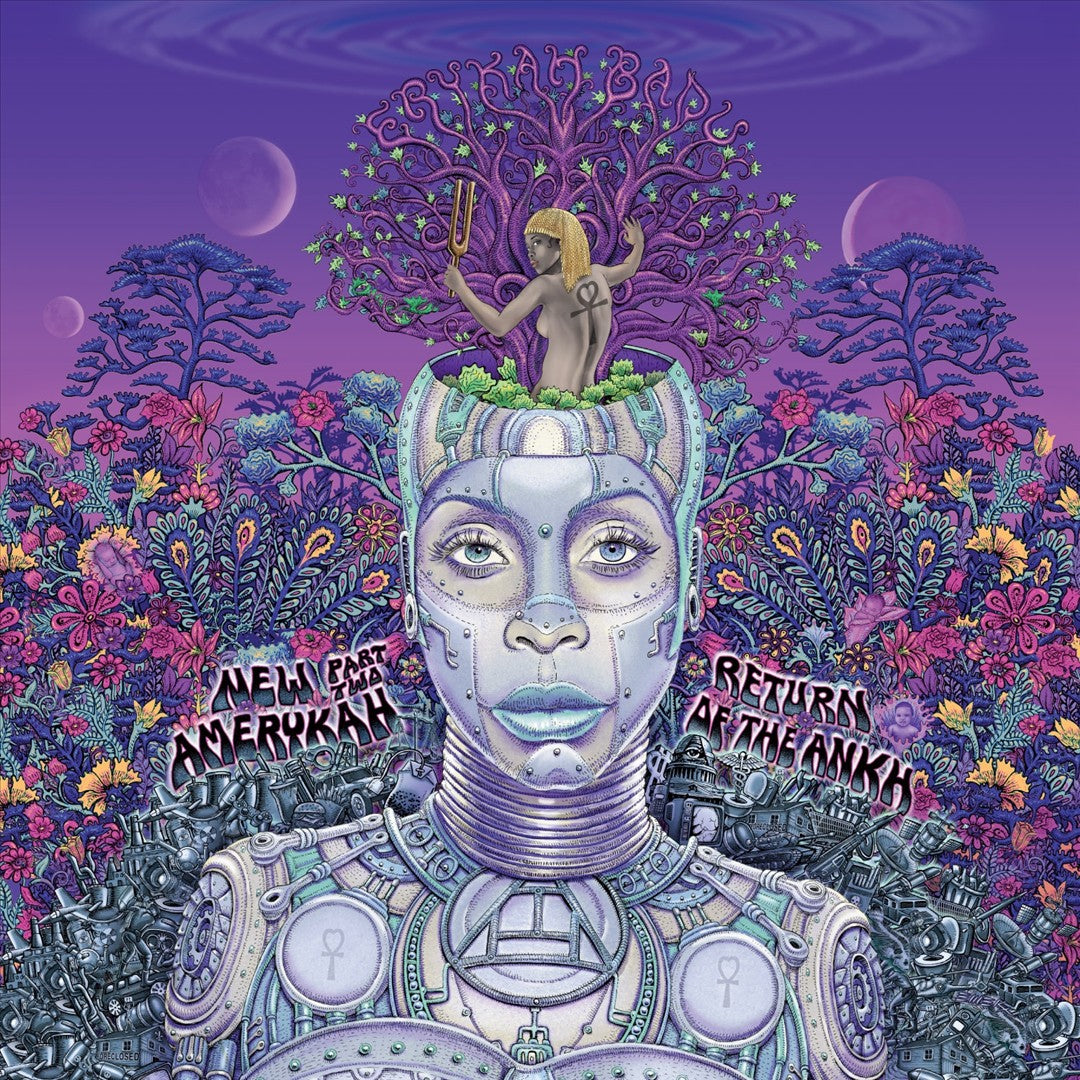 New Amerykah, Pt. 2: Return of the Ankh [Vinyl] cover art