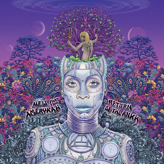 New Amerykah, Pt. 2: Return of the Ankh [Vinyl] cover art