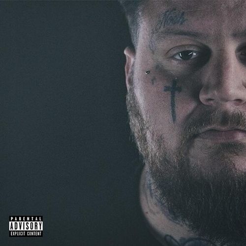 Beautiful Disaster cover art