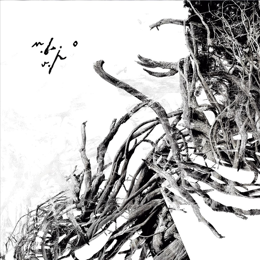 Vîrstele Pamîntului cover art