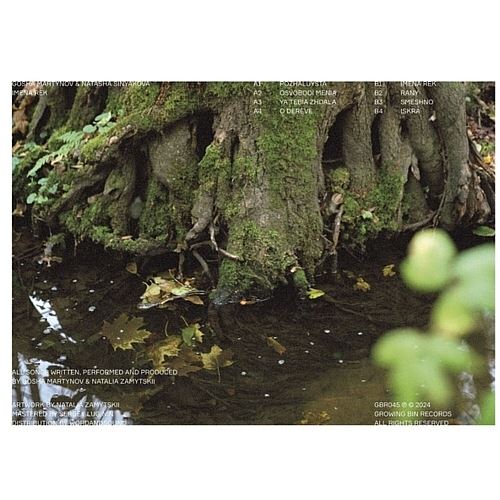 Imena Rek cover art