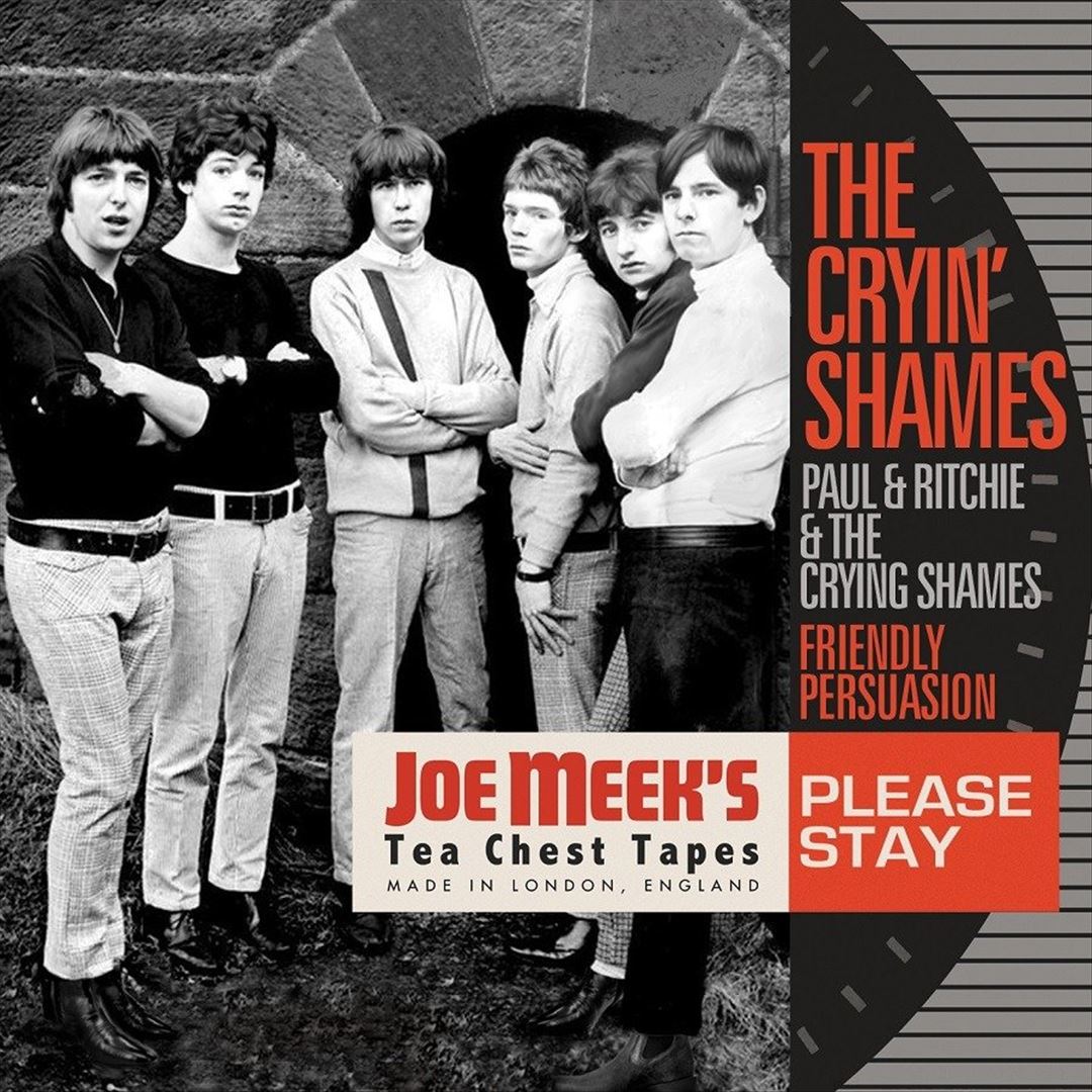 Please Stay cover art