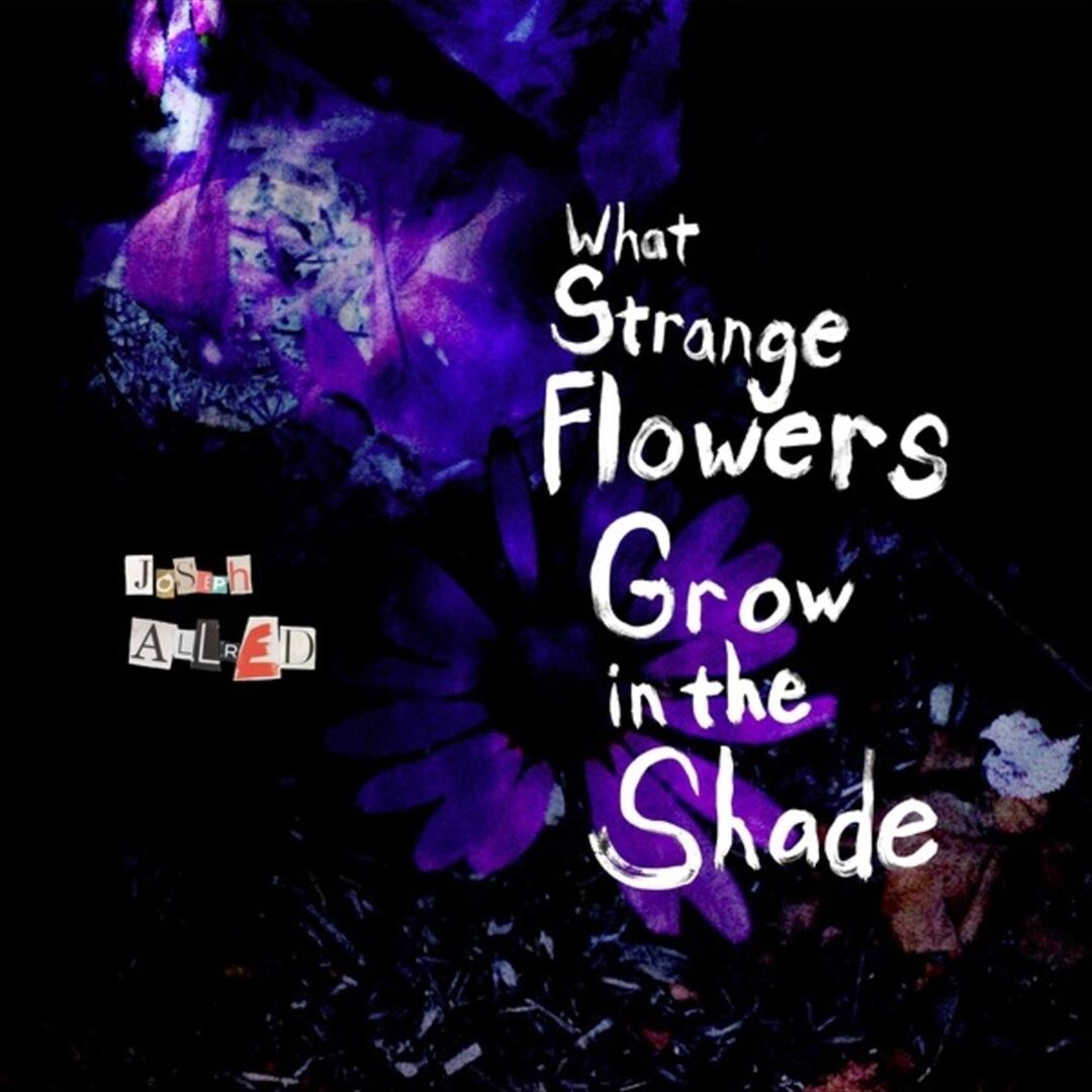 What Strange Flowers in the Shade cover art
