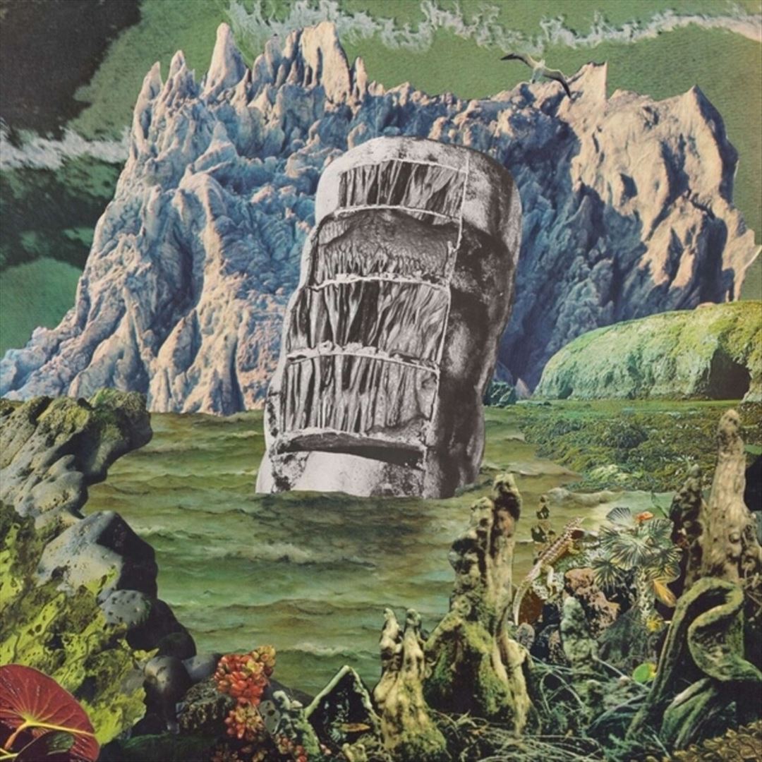 Exotic Immensity cover art