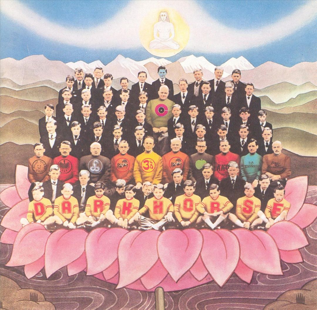 Dark Horse [LP] cover art
