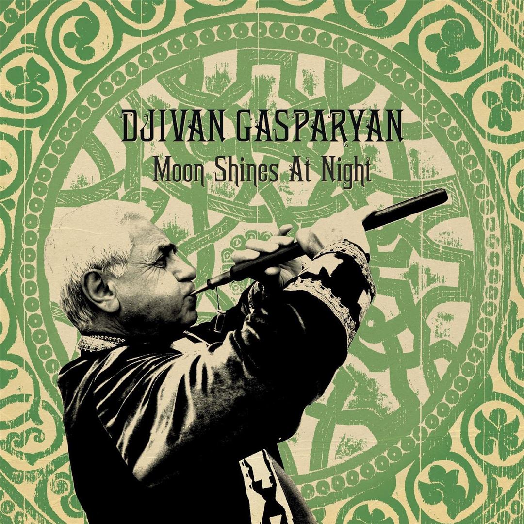Moon Shines at Night cover art