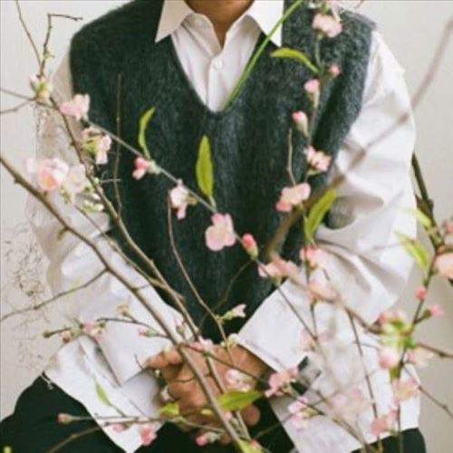 Cherry Blossom Baby cover art