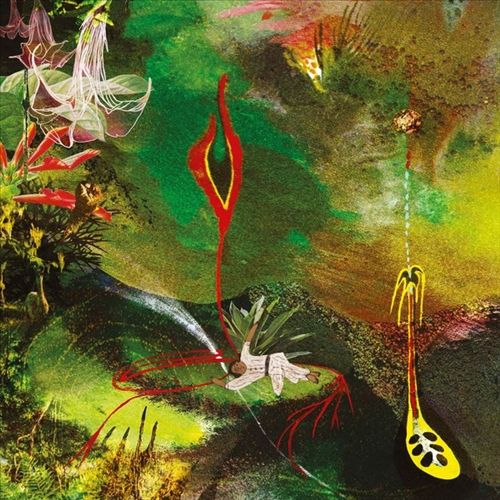 Cimora cover art