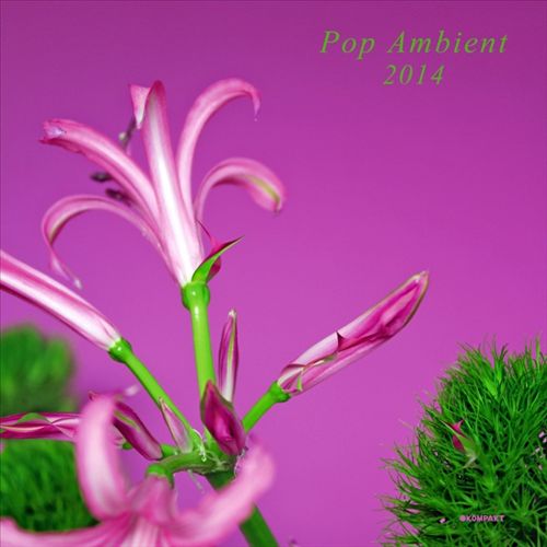 Pop Ambient 2014 [LP/CD] cover art