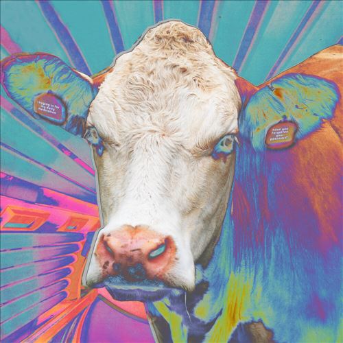 Eyes of Others cover art