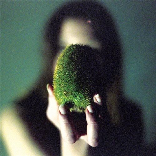 In Plain Speech [LP] cover art