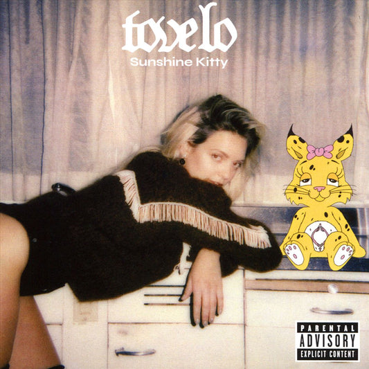 Sunshine Kitty cover art