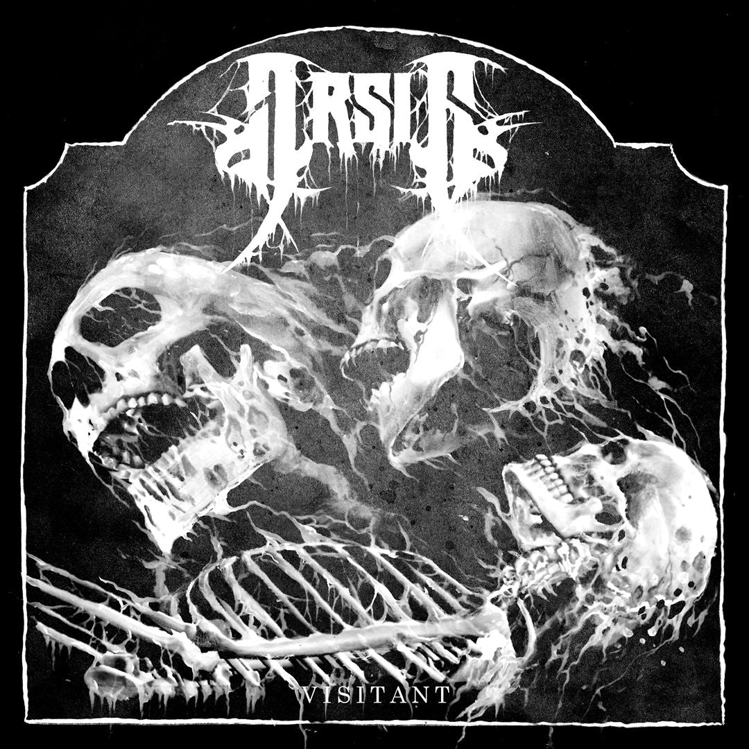 Visitant cover art