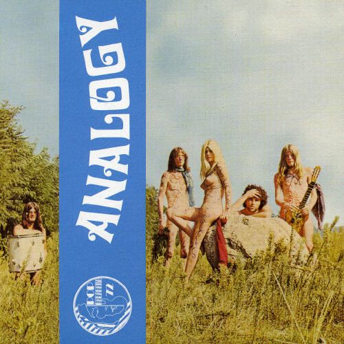 Analogy cover art