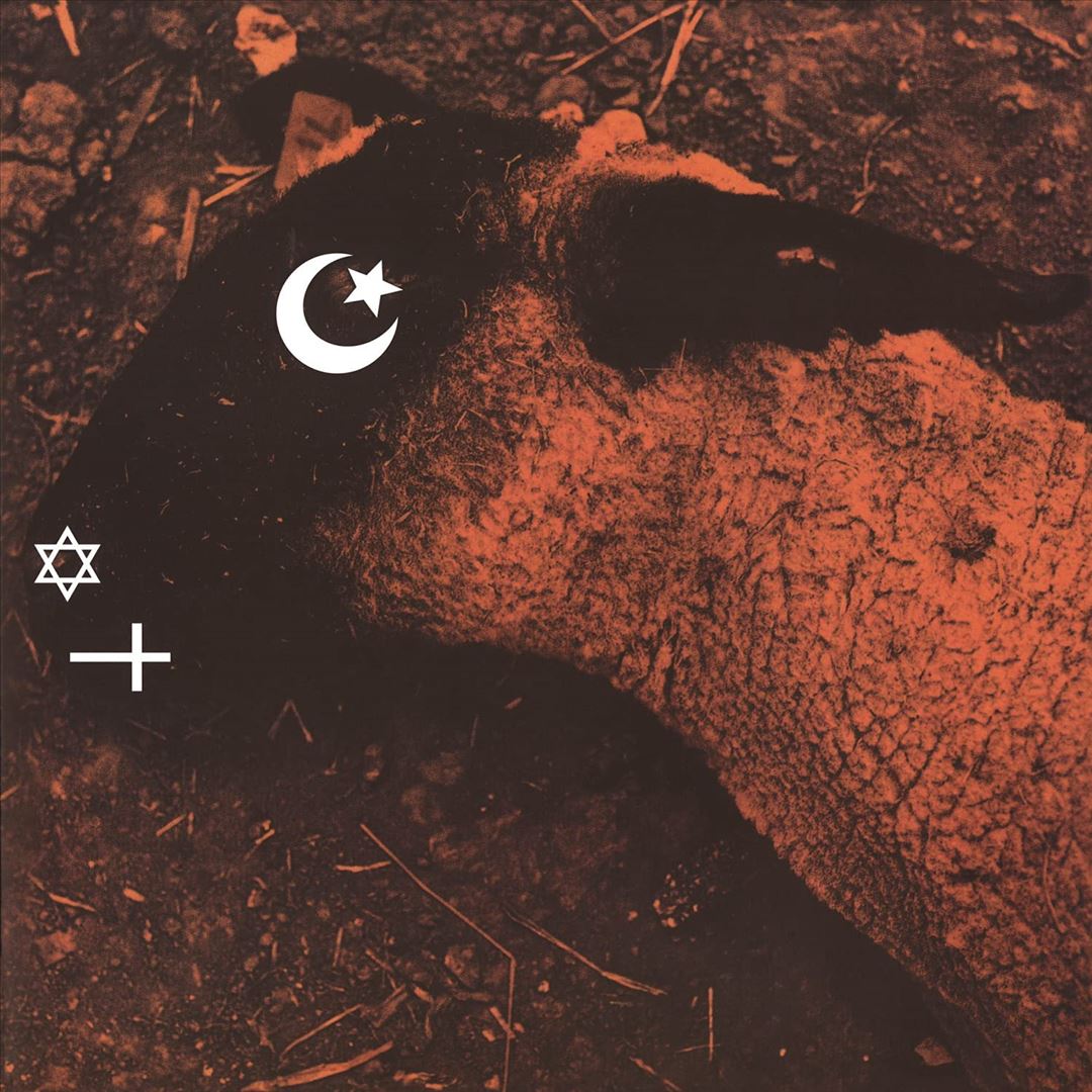 Animositisomina cover art