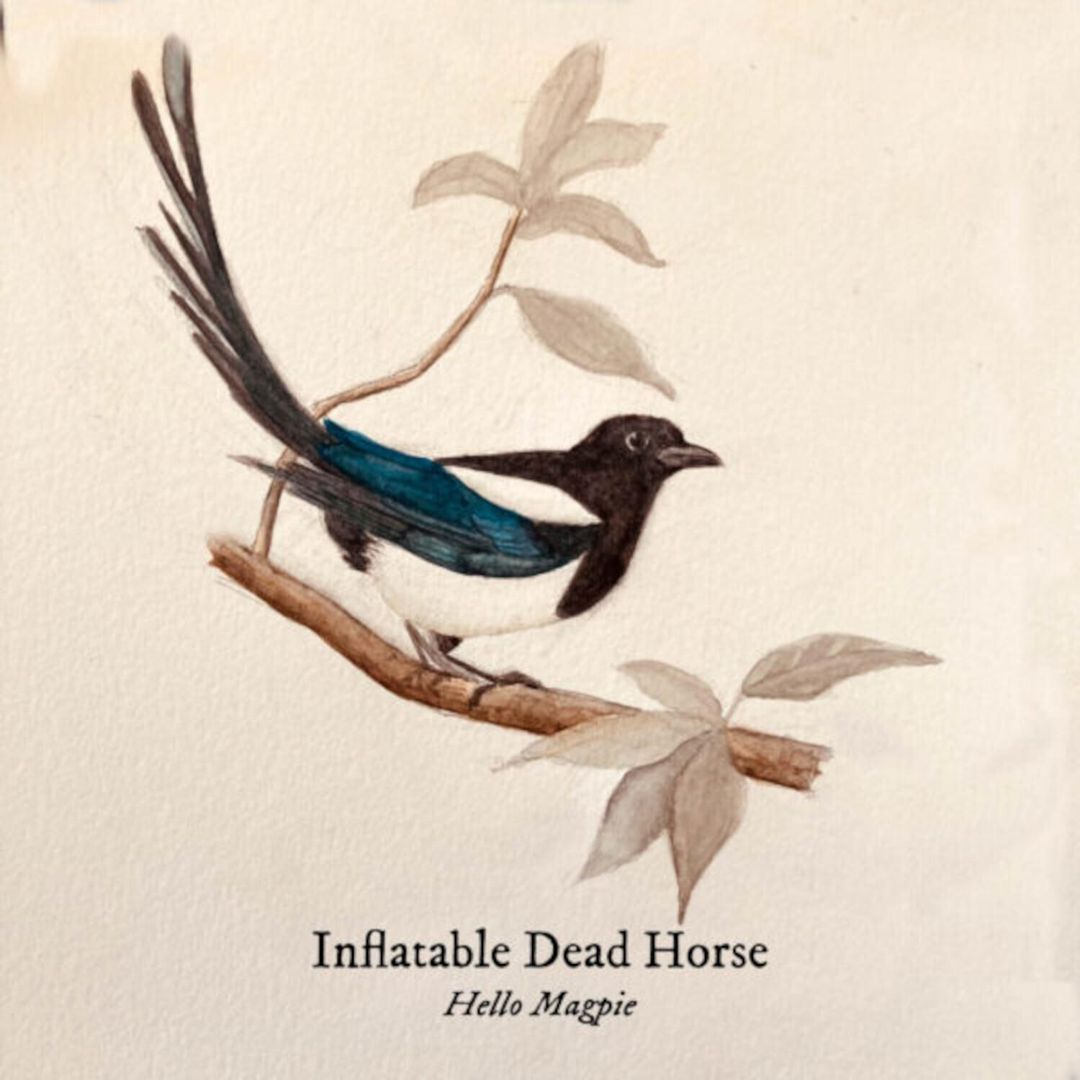 Hello Magpie cover art