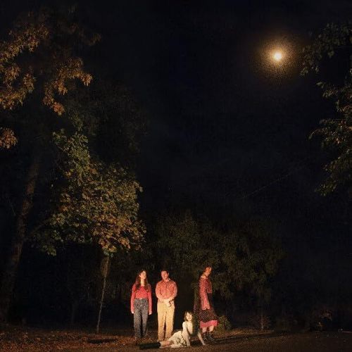 Spring Grove cover art
