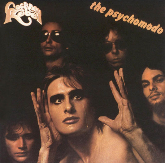 Psychomodo cover art